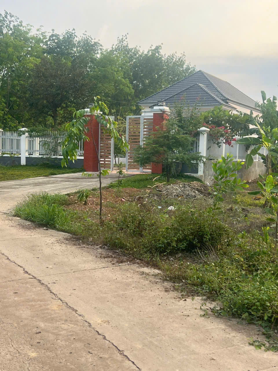 CHỦ GỬI BÁN GẤP LÔ ĐẤT TẠI TÂN LỢI GIÁ 320TR, BÁN LỖ DO CẦN TIỀN GẤP - Ảnh 1